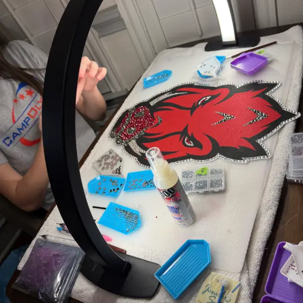 behind the scenes of bedazzling