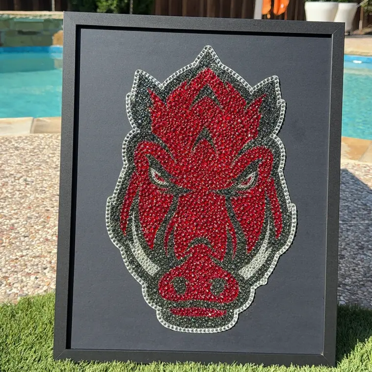 rhinestone art razorback in frame